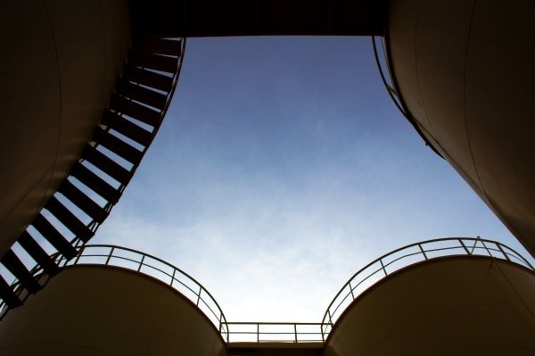 Kiran Group tree planting initiative