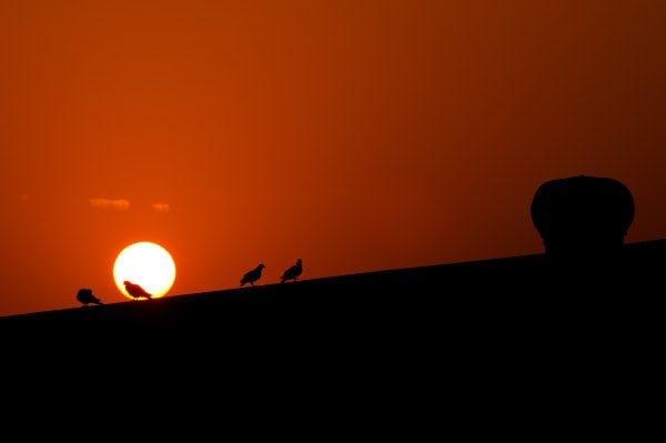 Port stevedoring operations at Kandla